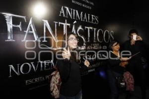 ANIMALES FANTÁSTICOS Y DONDE ENCONTRARLOS