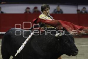 TOROS . ANDRÉS ROCA REY