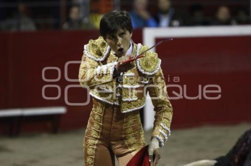 TOROS . ANDRÉS ROCA REY