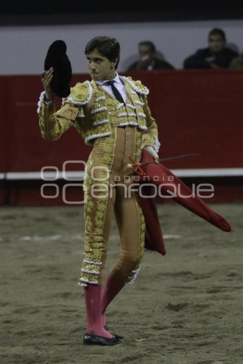 TOROS . ANDRÉS ROCA REY