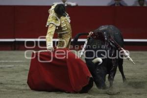 TOROS . ANDRÉS ROCA REY