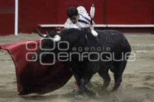 TOROS . JOSELITO ADAME