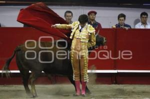 TOROS . ANDRÉS ROCA REY