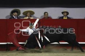 TOROS . JOSELITO ADAME