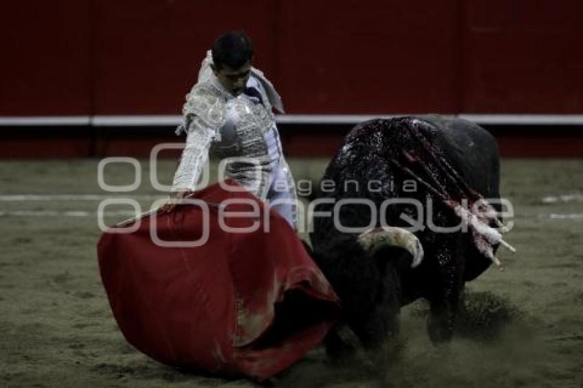 TOROS . JOSELITO ADAME