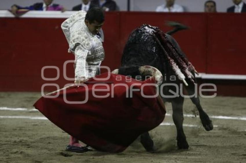 TOROS . JOSELITO ADAME