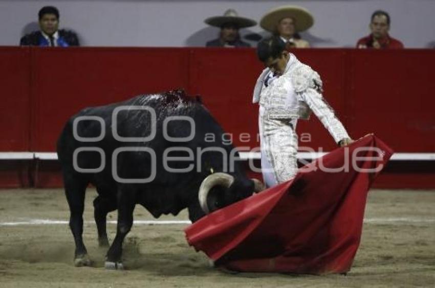 TOROS . JOSELITO ADAME