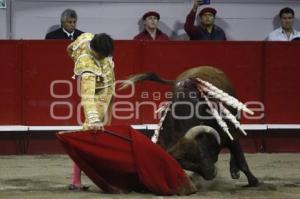 TOROS . ANDRÉS ROCA REY