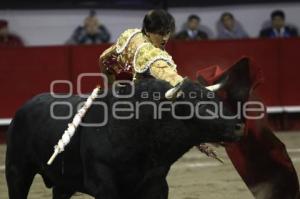 TOROS . ANDRÉS ROCA REY