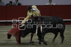 TOROS . ANDRÉS ROCA REY