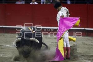 TOROS . JOSELITO ADAME