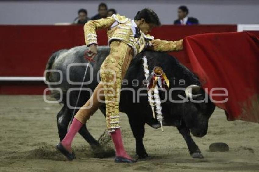 TOROS . ANDRÉS ROCA REY