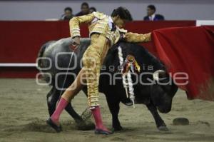 TOROS . ANDRÉS ROCA REY