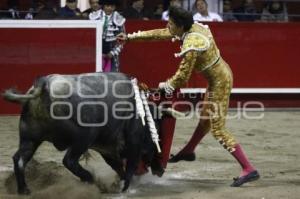 TOROS . ANDRÉS ROCA REY