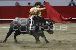 TOROS . ANDRÉS ROCA REY