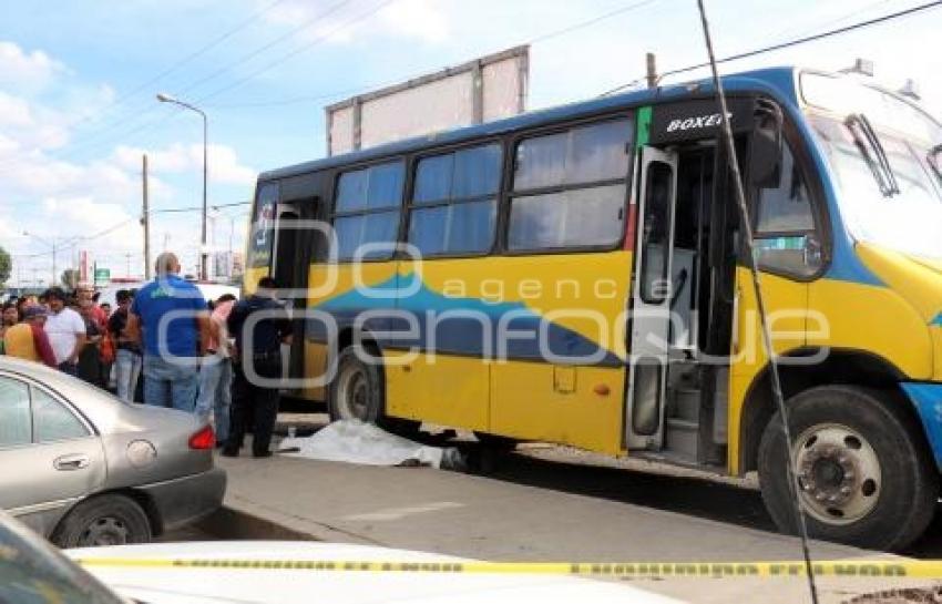 APLASTADO BULEVAR NORTE