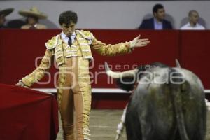 TOROS . ANDRÉS ROCA REY