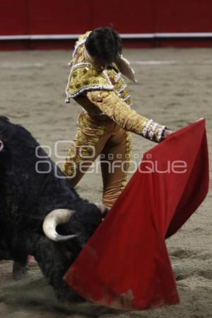 TOROS . ANDRÉS ROCA REY