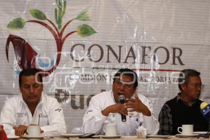 CONAFOR