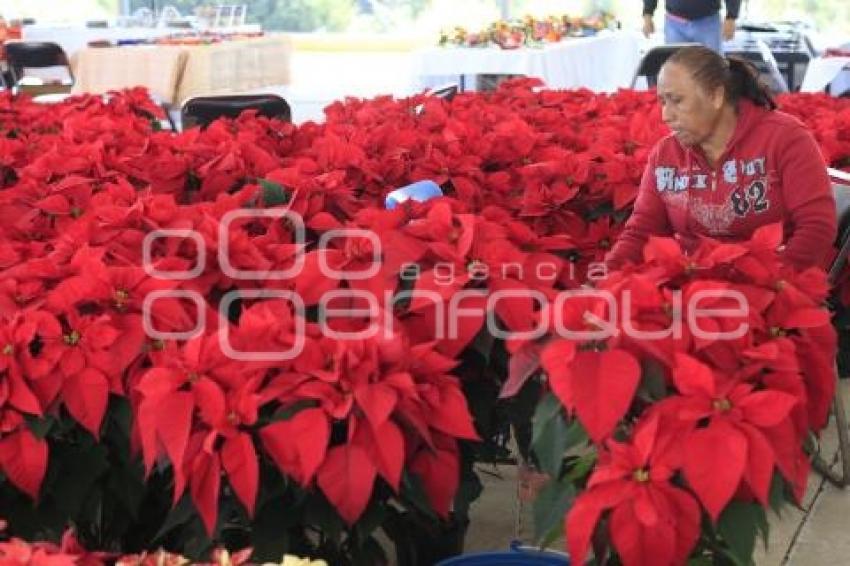 FERIA DE LA NOCHEBUENA . CCU