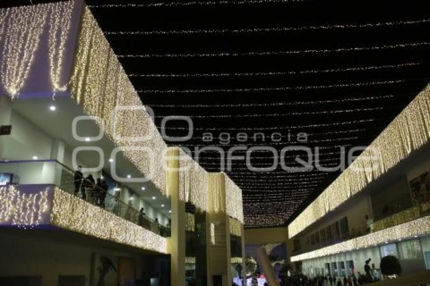 BUAP. ENCENDIDO ÁRBOL DE NAVIDAD