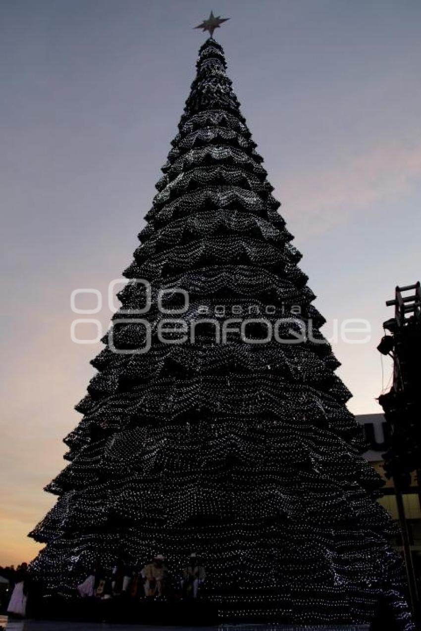BUAP. ENCENDIDO ÁRBOL DE NAVIDAD