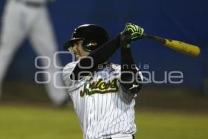 BÉISBOL . PERICOS VS TIGRES