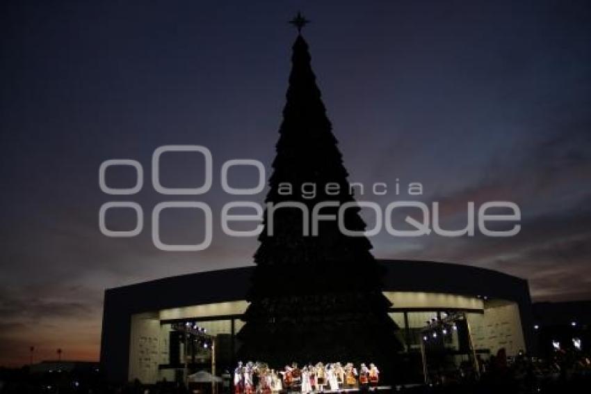 BUAP. ENCENDIDO ÁRBOL DE NAVIDAD