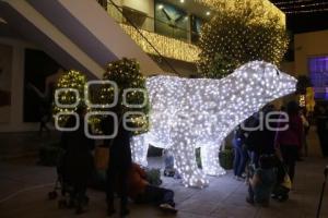 BUAP. ENCENDIDO ÁRBOL DE NAVIDAD