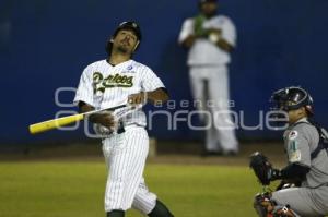 BÉISBOL . PERICOS VS TIGRES