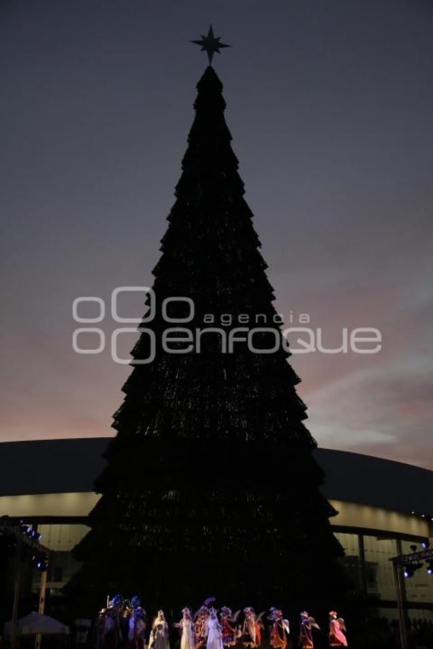 BUAP. ENCENDIDO ÁRBOL DE NAVIDAD