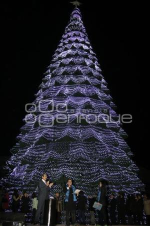 BUAP. ENCENDIDO ÁRBOL DE NAVIDAD