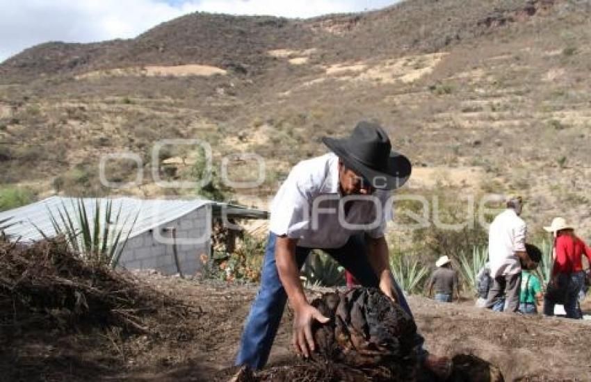 PRODUCCIÓN DE MEZCAL . CALTEPEC