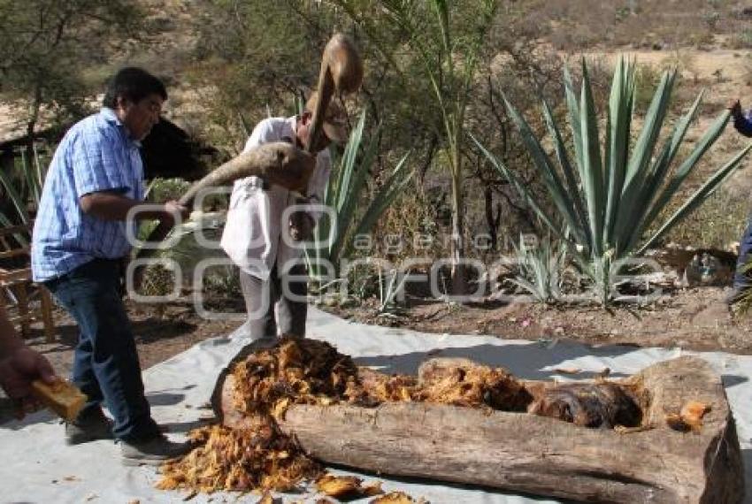 PRODUCCIÓN DE MEZCAL . CALTEPEC