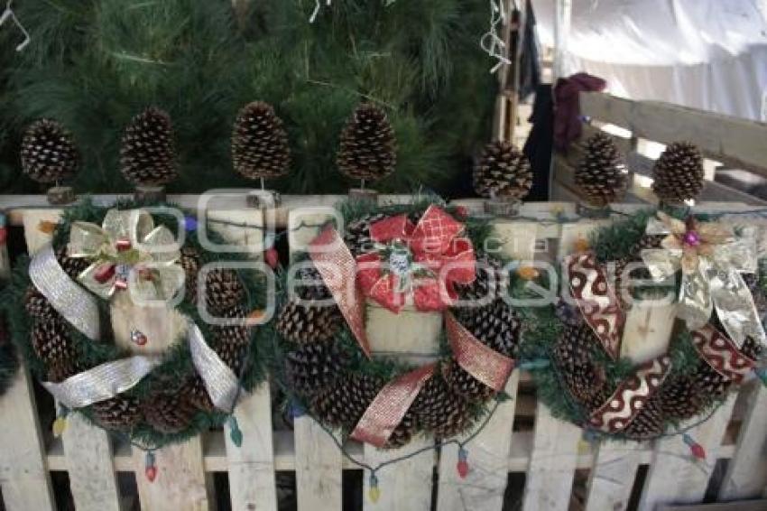 EXPO ÁRBOLES DE NAVIDAD