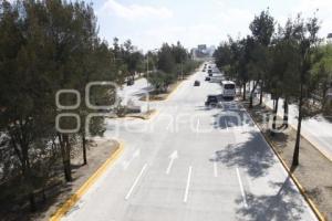 PAVIMENTACIÓN BULEVAR NIÑO POBLANO