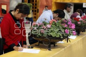 FERIA DE EMPLEO NAVIDEÑA