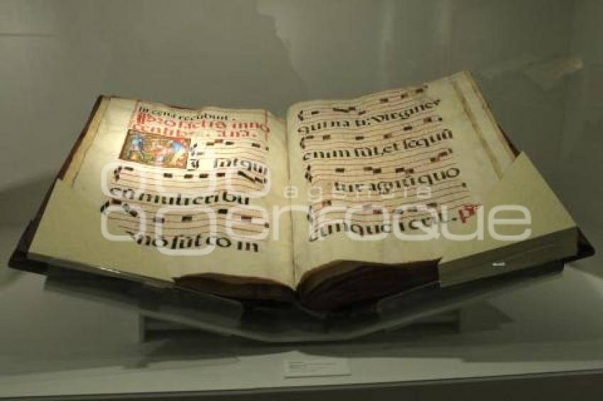 EXPOSICIÓN AL CANTO DE LAS QUIMERAS