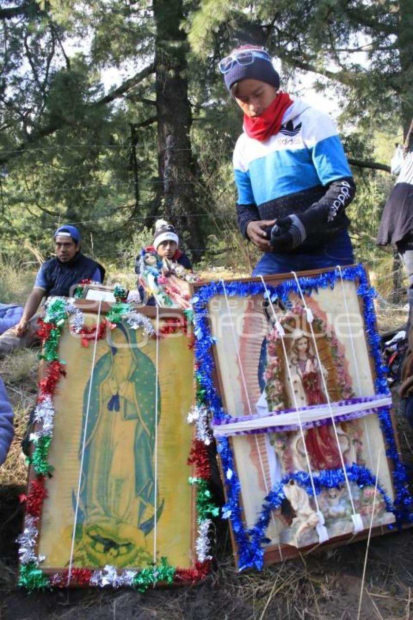 PEREGRINOS A LA BASÍLICA