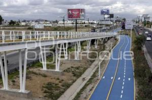 CICLOVÍA PERIFÉRICO