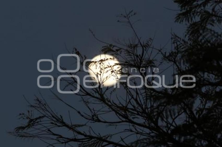 LUNA LLENA