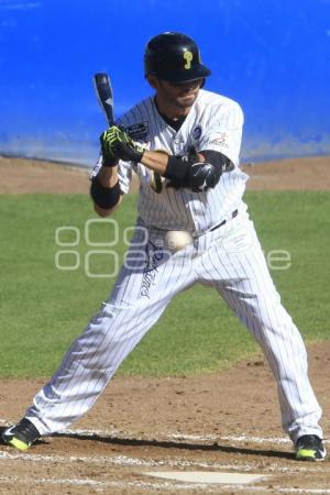 BÉISBOL. PERICOS VS SALAMANCA