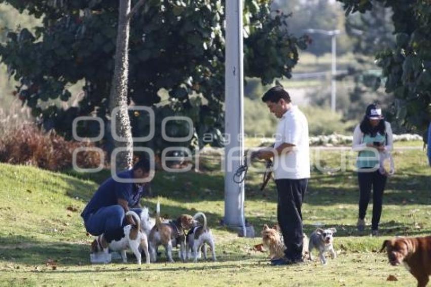 POSADA PERRUNA