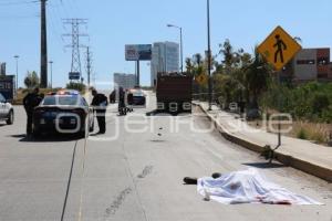 NOTA ROJA . CICLISTA ATROPELLADO