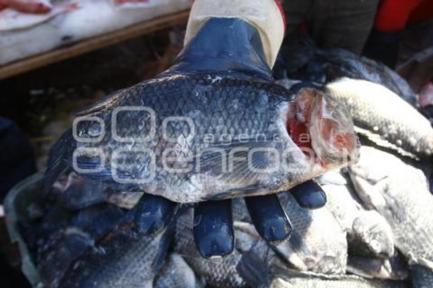 PESCADERÍAS