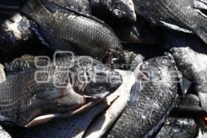 PESCADERÍAS
