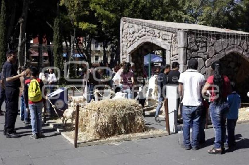 ZÓCALO . NACIMIENTO