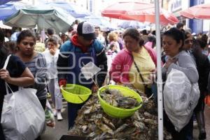 AÑO NUEVO .  MERCADO 5 DE MAYO