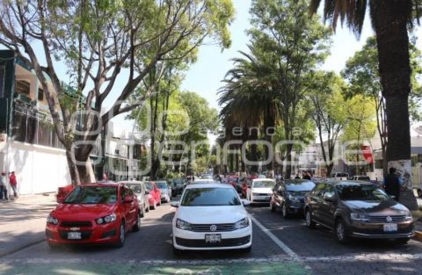 MANIFESTACIÓN AVENIDA JUÁREZ