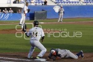 BÉISBOL . PERICOS VS TIGRES DE URIANGATO